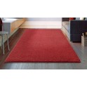 Hochflor-Teppich my home Höhe 31mm besonders weich 200x290 cm