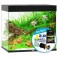 JUWEL AQUARIEN Aquarien-Set Lido 200 LED inkl. Starter-Set