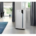 DE'LONGHI 3-in-1-Klimagerät PAC EX105 A+++ Mobiles Klimagerät