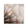 Heine home Bild Leinwand mit LED Pusteblume Gräser