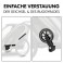 HAUCK Fahrradkinderanhänger Bike N Walk Duo für 2 Kinder
