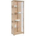 Vitrine Standvitrine Vitrinenschrank Glasvitrine Sammlervitrine