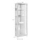 Vitrine Standvitrine Vitrinenschrank Glasvitrine Sammlervitrine