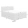 COTTA Boxspringbett Shark inkl. Bettkasten und Topper 140x200 cm
